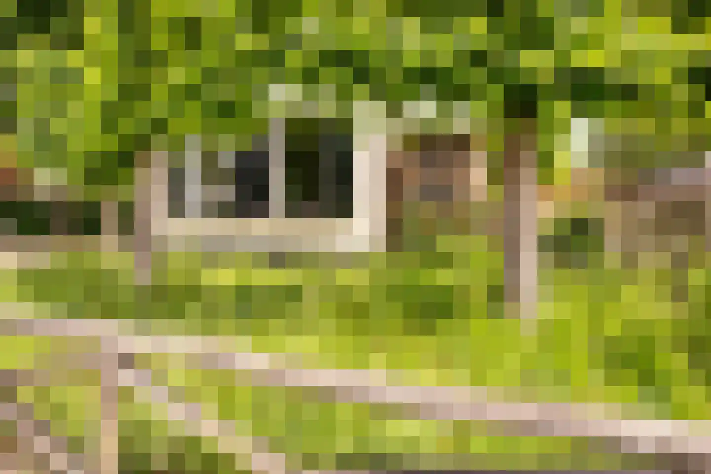 Zonstraat 52 Driebergen-Rijsenburg thumbnail 43