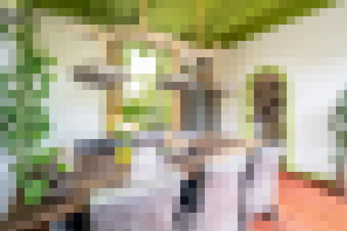 Zonstraat 52 Driebergen-Rijsenburg thumbnail 5