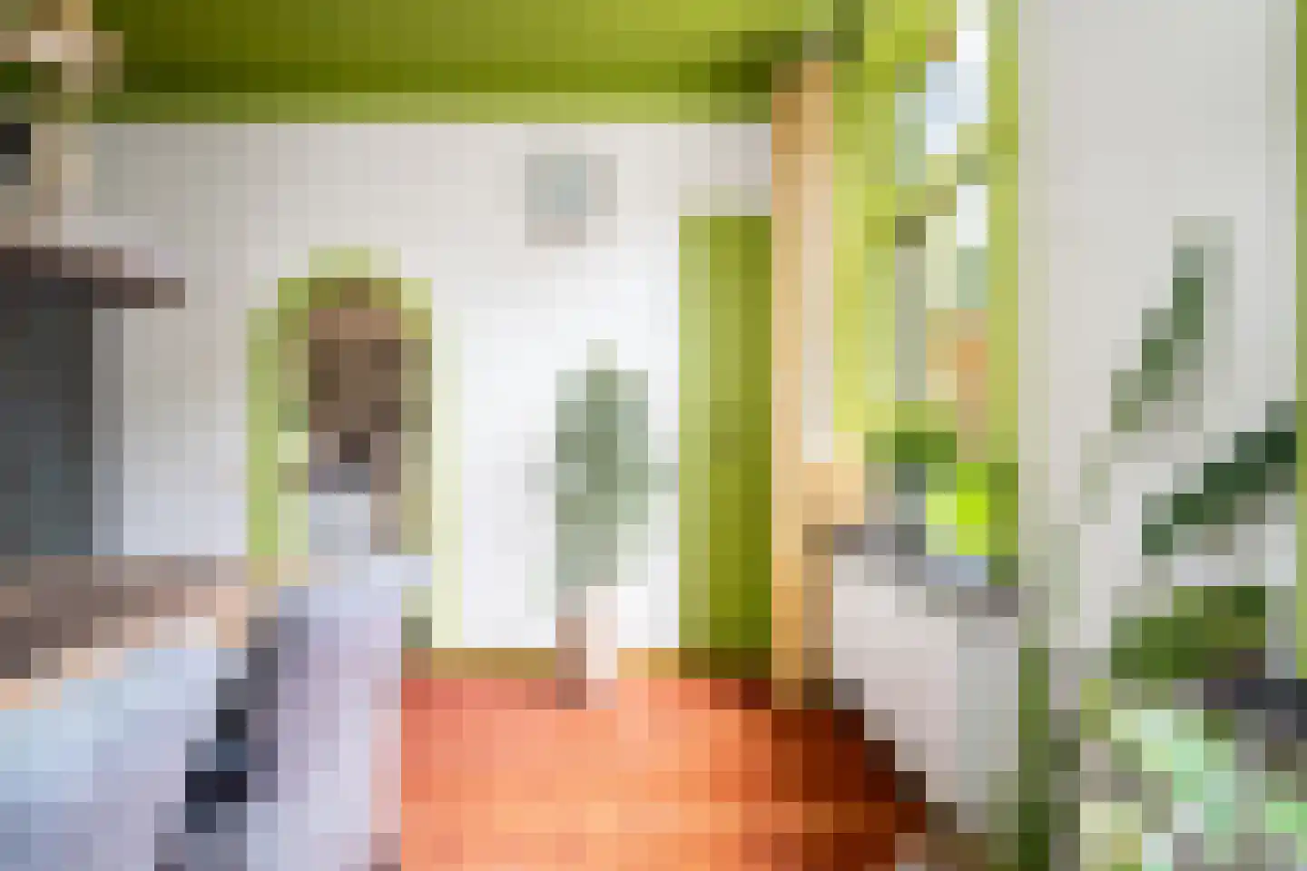Zonstraat 52 Driebergen-Rijsenburg thumbnail 6