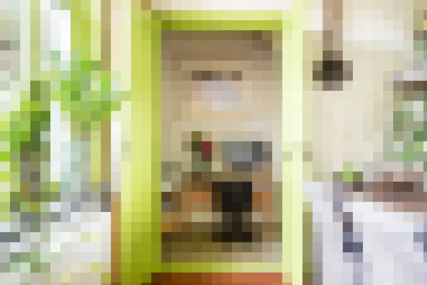 Zonstraat 52 Driebergen-Rijsenburg thumbnail 9