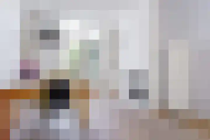 Zonstraat 52 Utrecht thumbnail 11