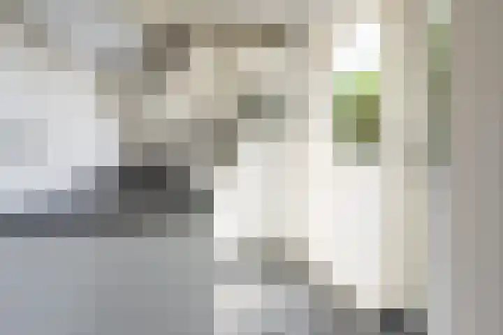 Zonstraat 52 Utrecht thumbnail 14
