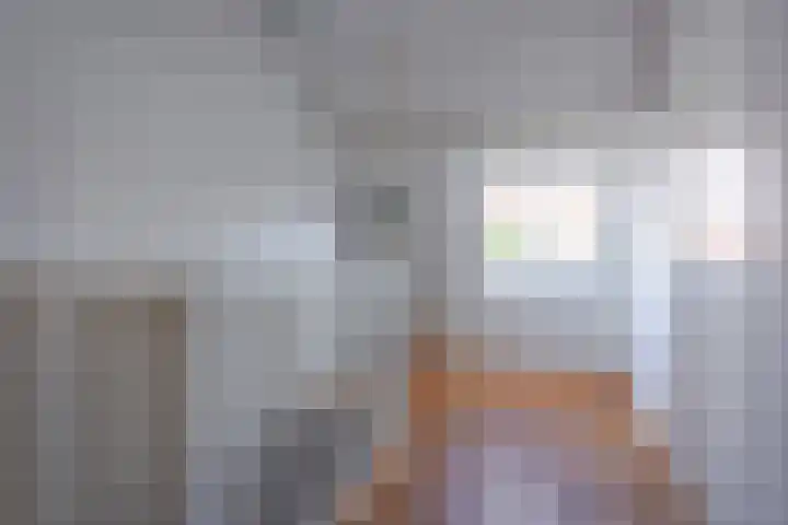 Zonstraat 52 Utrecht thumbnail 19