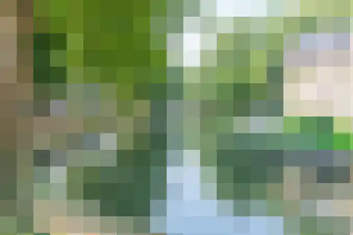 Zonstraat 52 Utrecht thumbnail 37