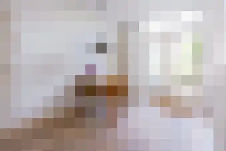 Zonstraat 52 Utrecht thumbnail 8