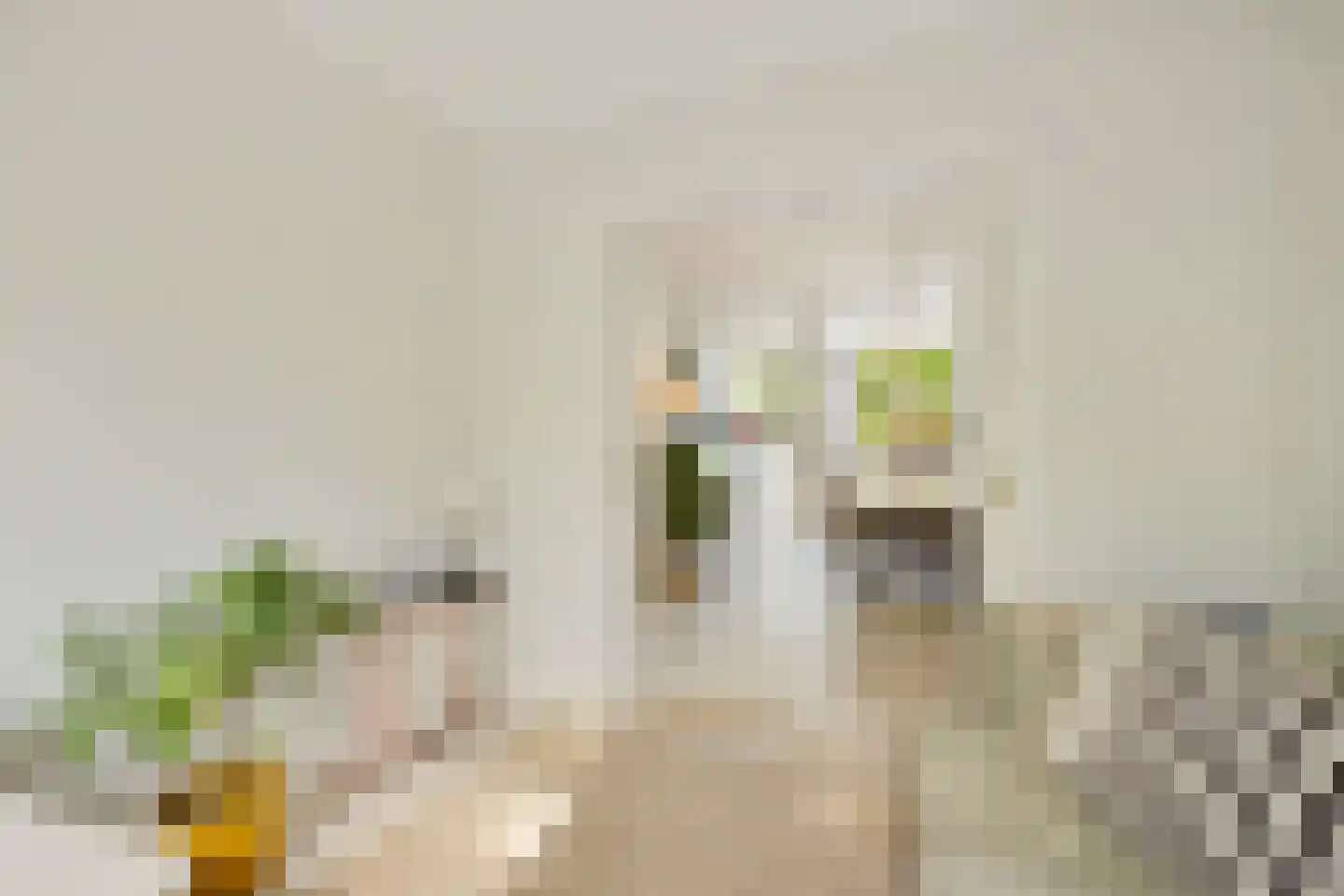 Zonstraat 56 Utrecht thumbnail 17