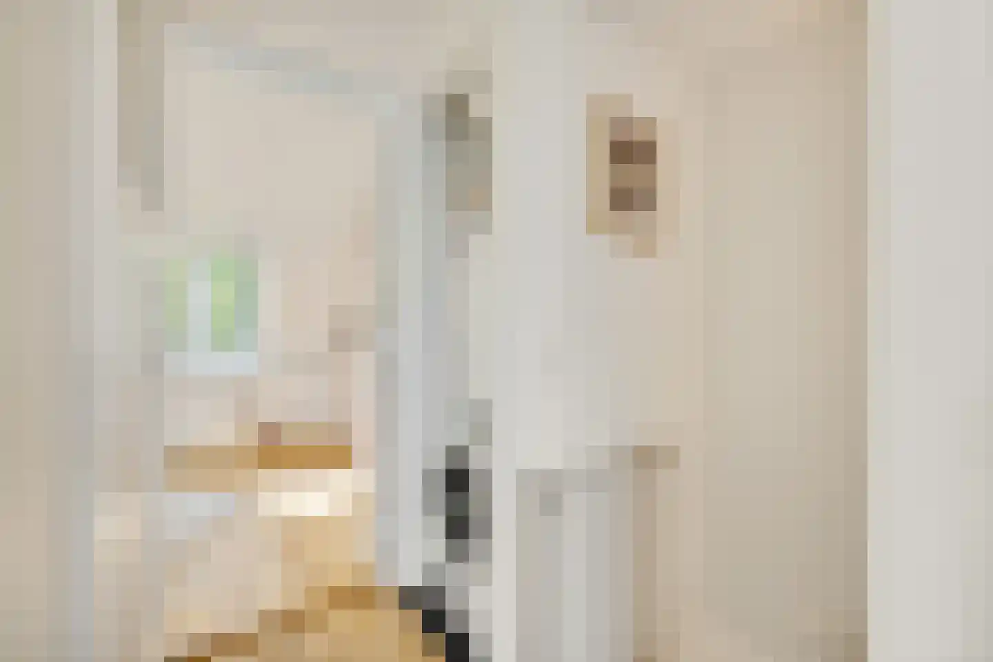 Zonstraat 56 Utrecht thumbnail 29