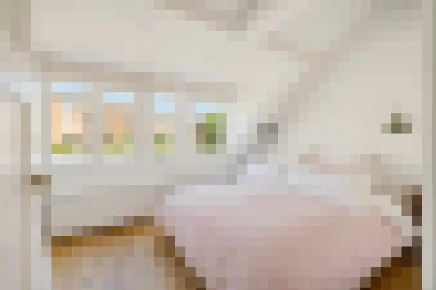 Zonstraat 56 Utrecht thumbnail 35