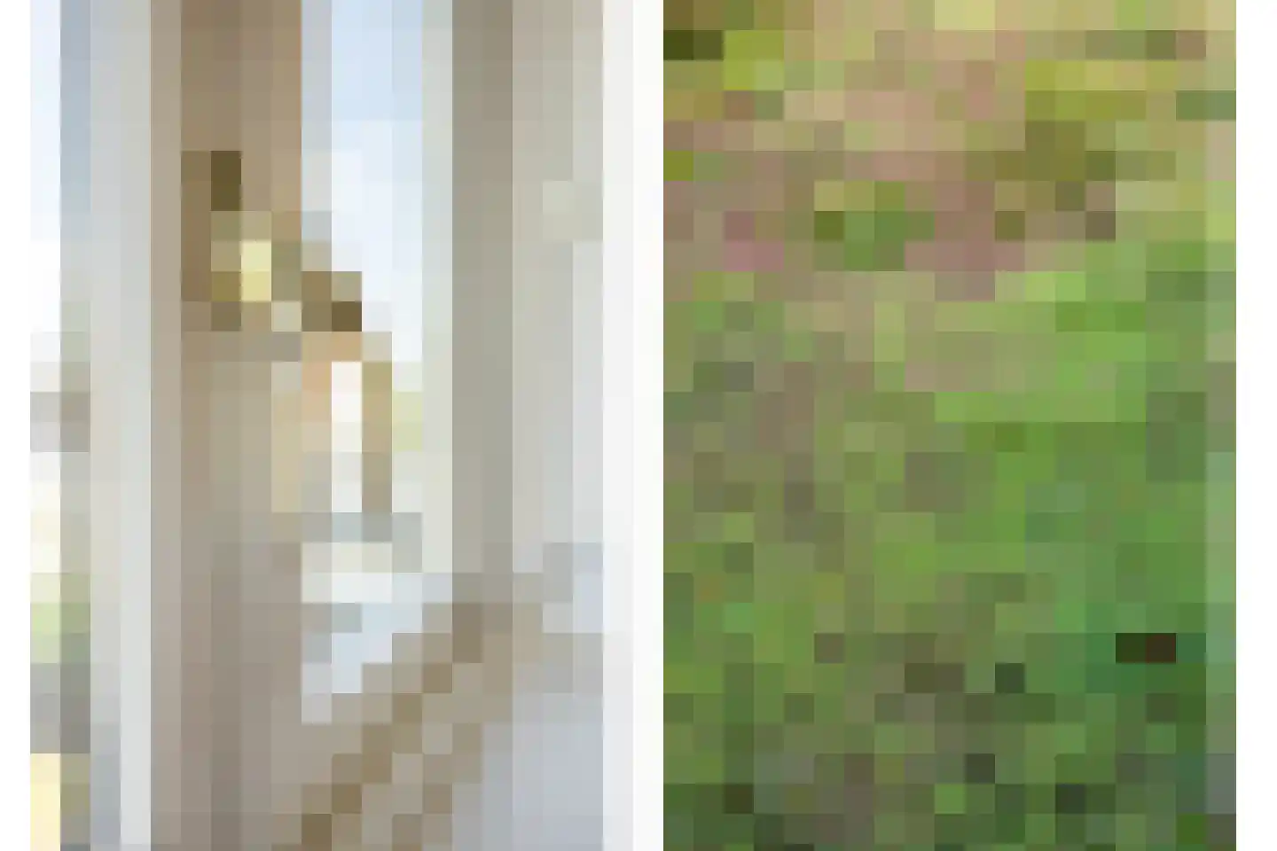 Zonstraat 56 Utrecht thumbnail 36