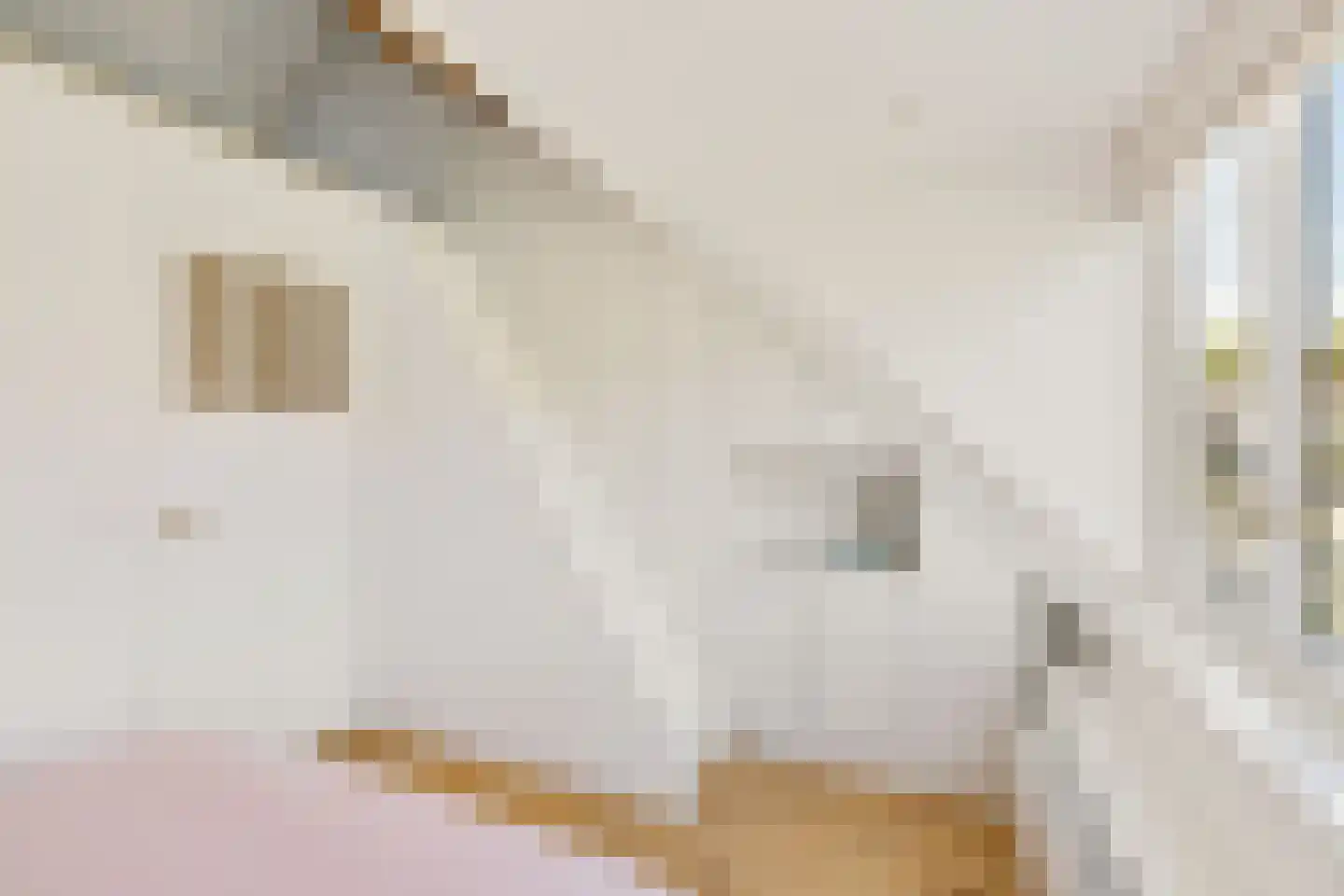 Zonstraat 56 Utrecht thumbnail 37