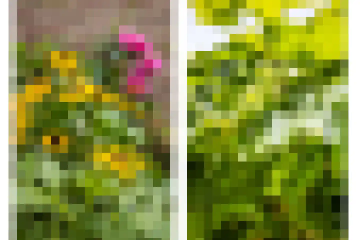 Zonstraat 56 Utrecht thumbnail 46