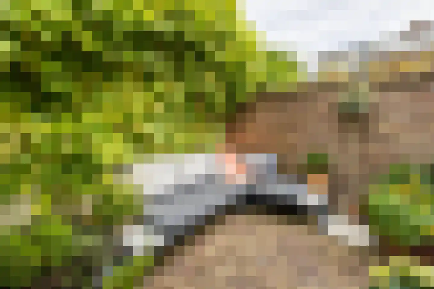 Zonstraat 56 Utrecht thumbnail 50