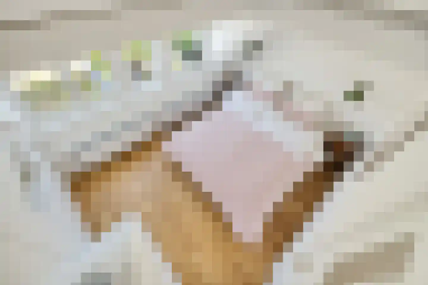 Zonstraat 56 Utrecht thumbnail 6