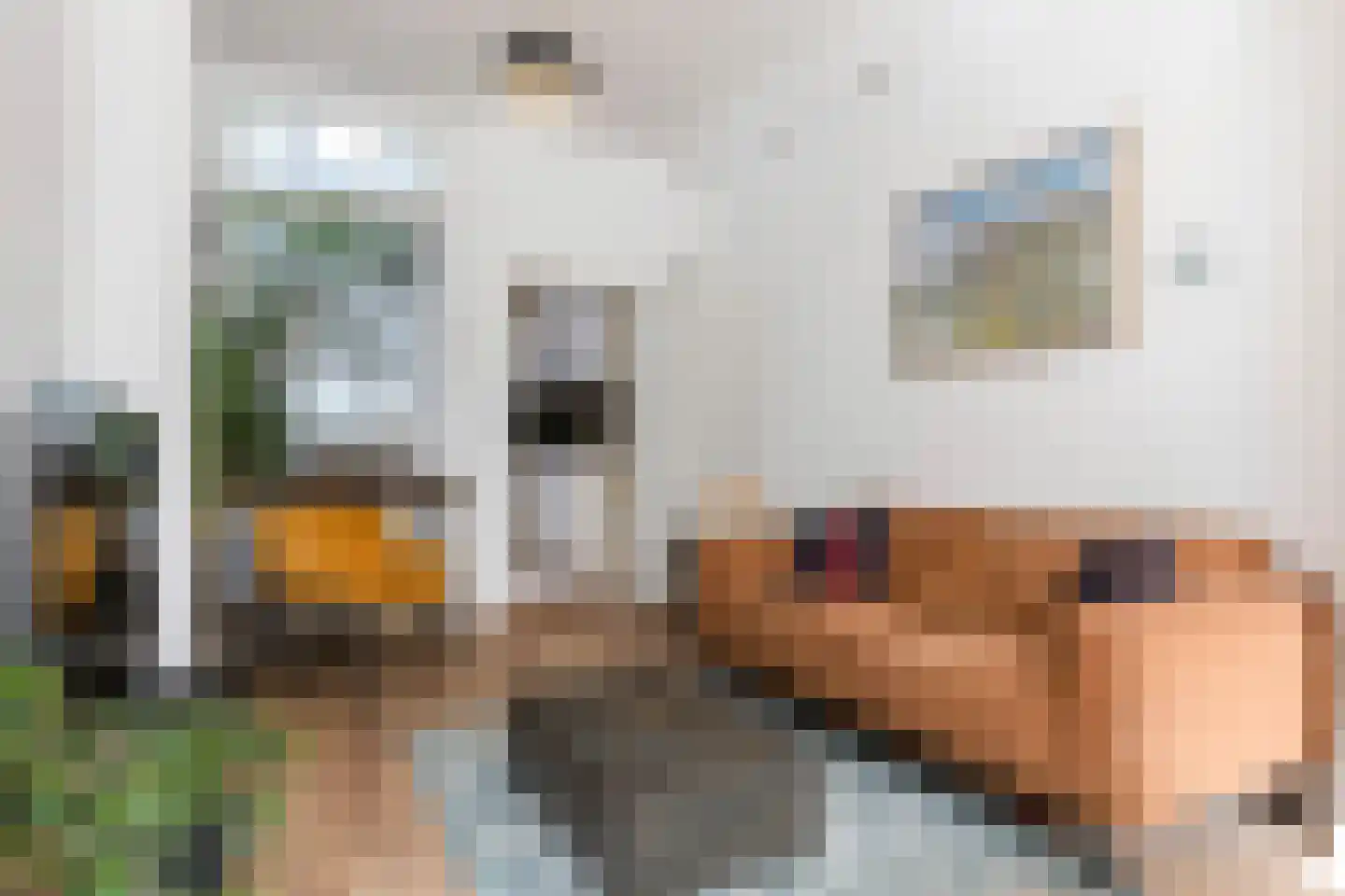 Zonstraat 6 Utrecht thumbnail 10