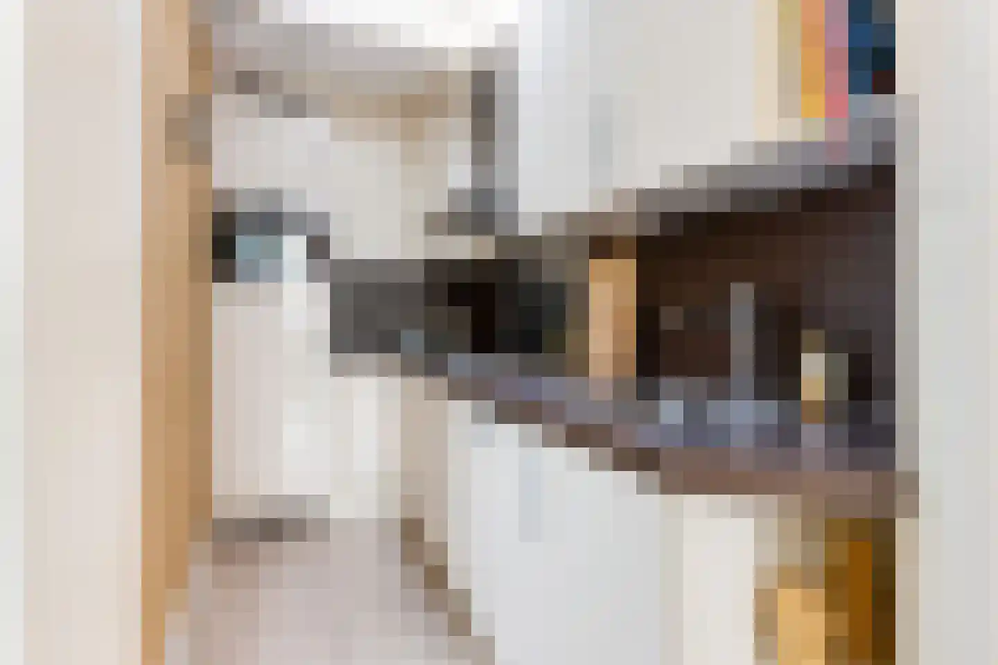 Zonstraat 6 Utrecht thumbnail 20