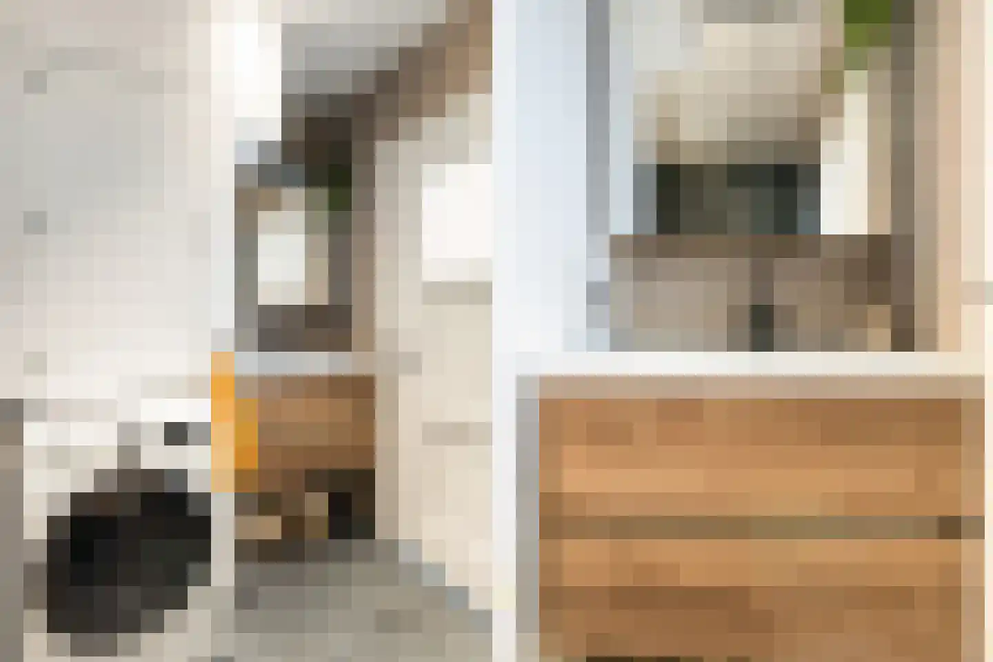 Zonstraat 6 Utrecht thumbnail 25