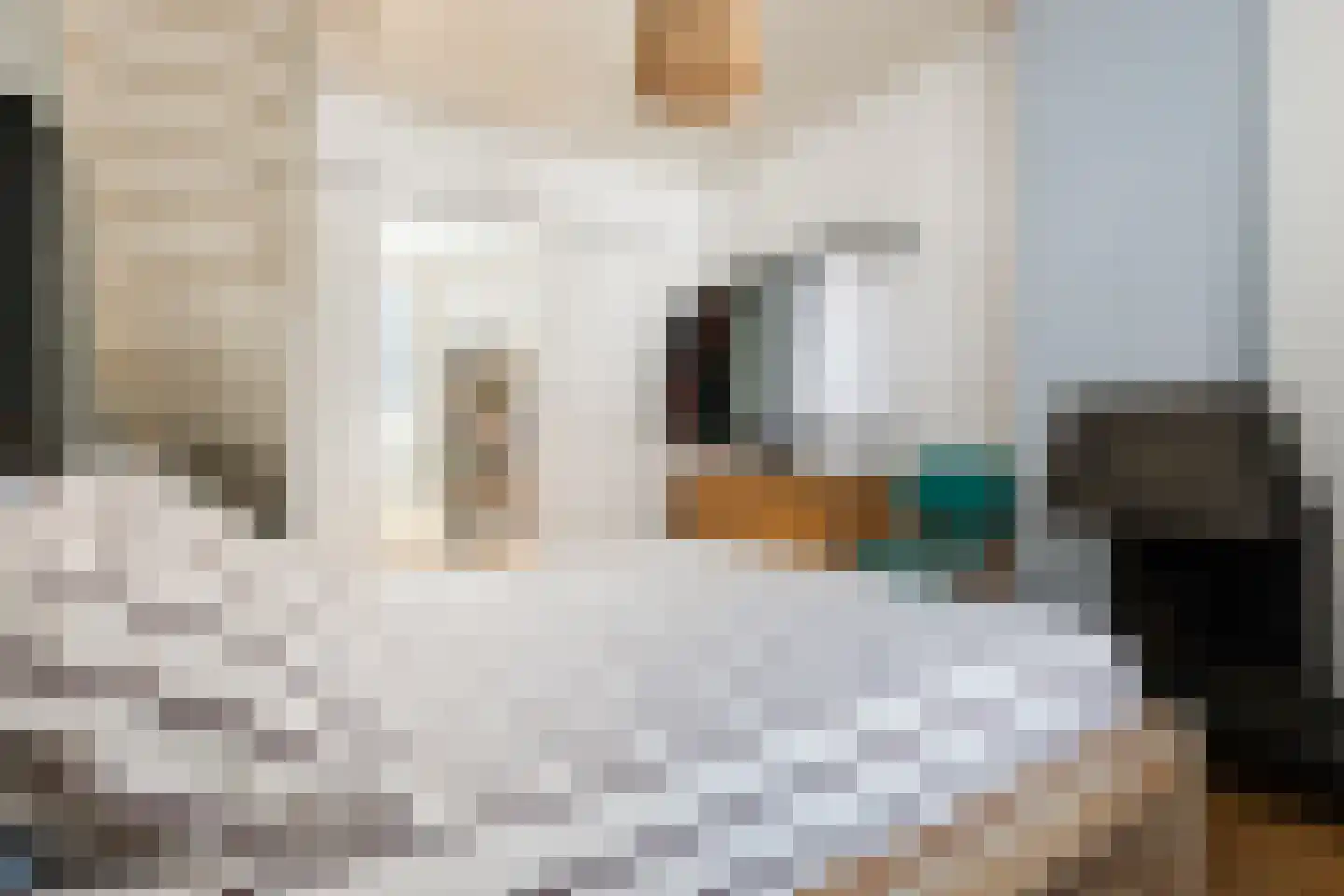 Zonstraat 6 Utrecht thumbnail 29