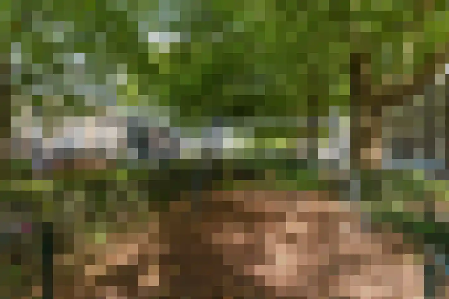 Zonstraat 6 Utrecht thumbnail 34