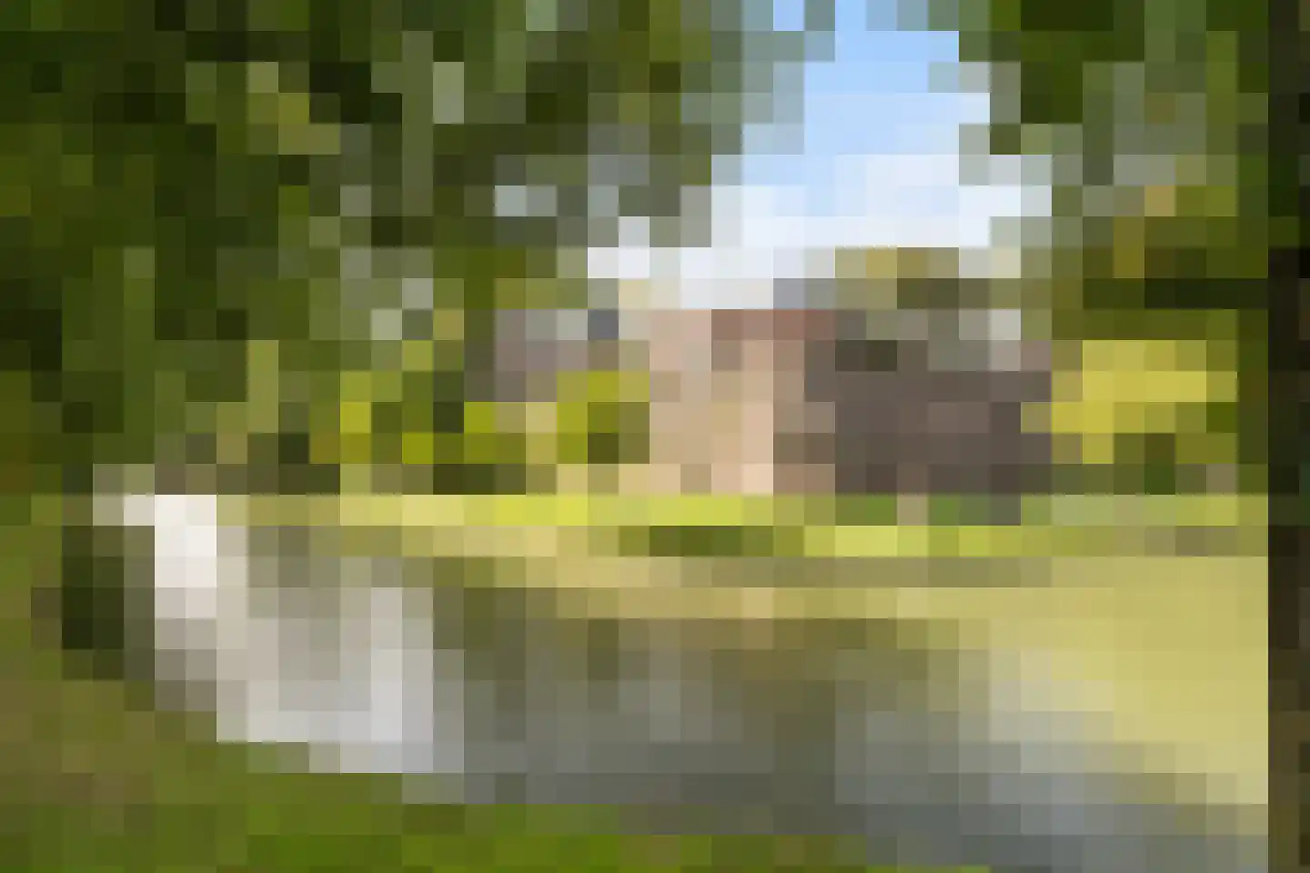 Zonstraat 6 Utrecht thumbnail 36