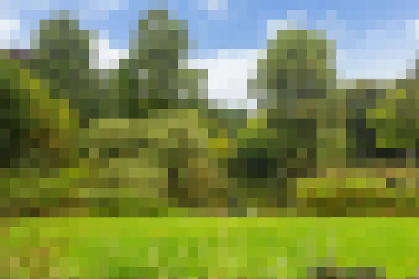 Zonstraat 6 Utrecht thumbnail 39