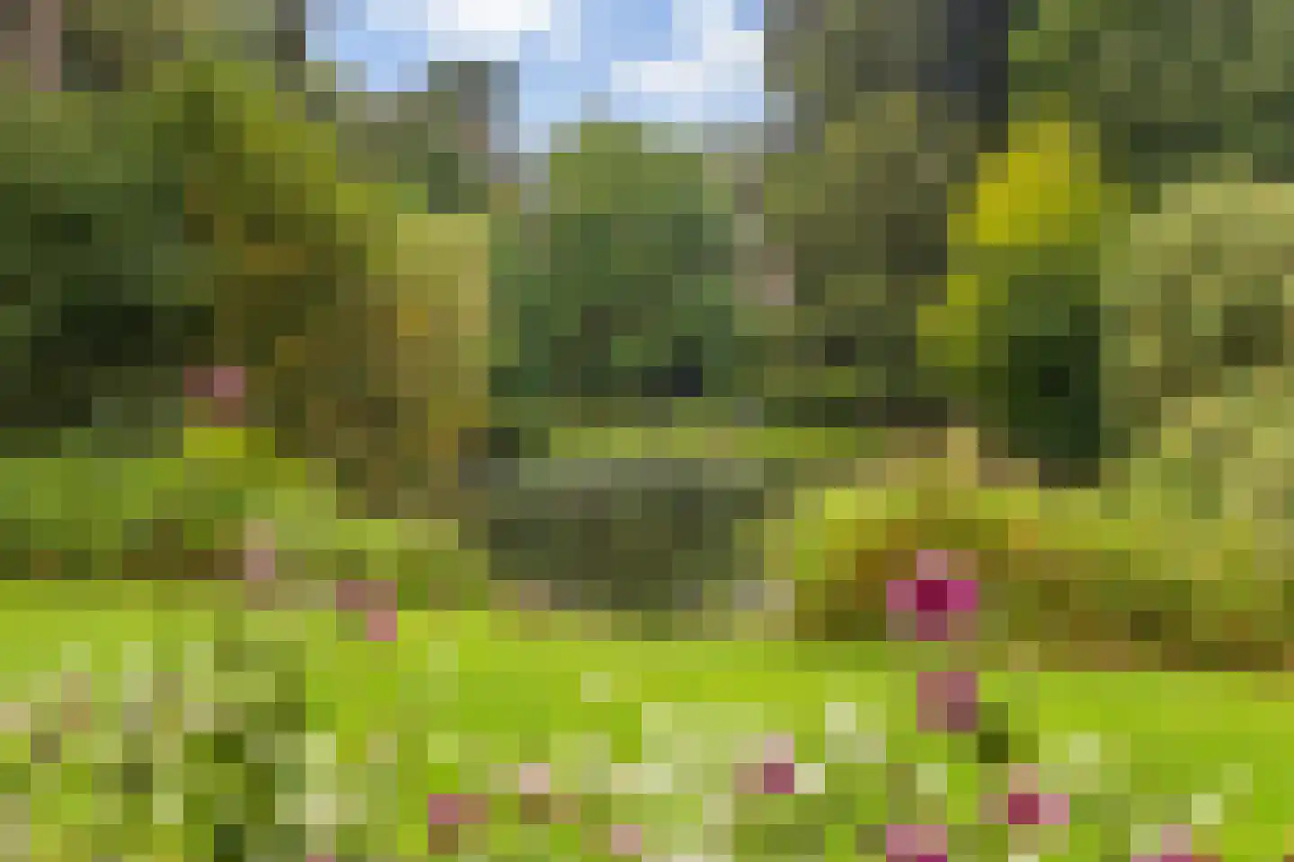 Zonstraat 6 Utrecht thumbnail 40