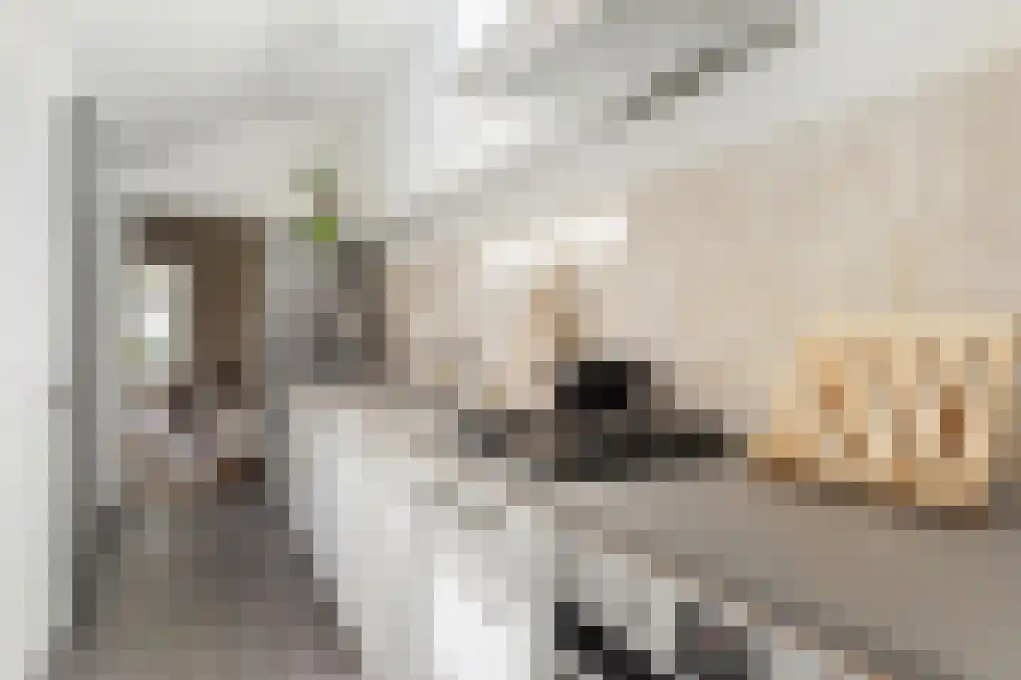 Zonstraat 60 Utrecht thumbnail 18