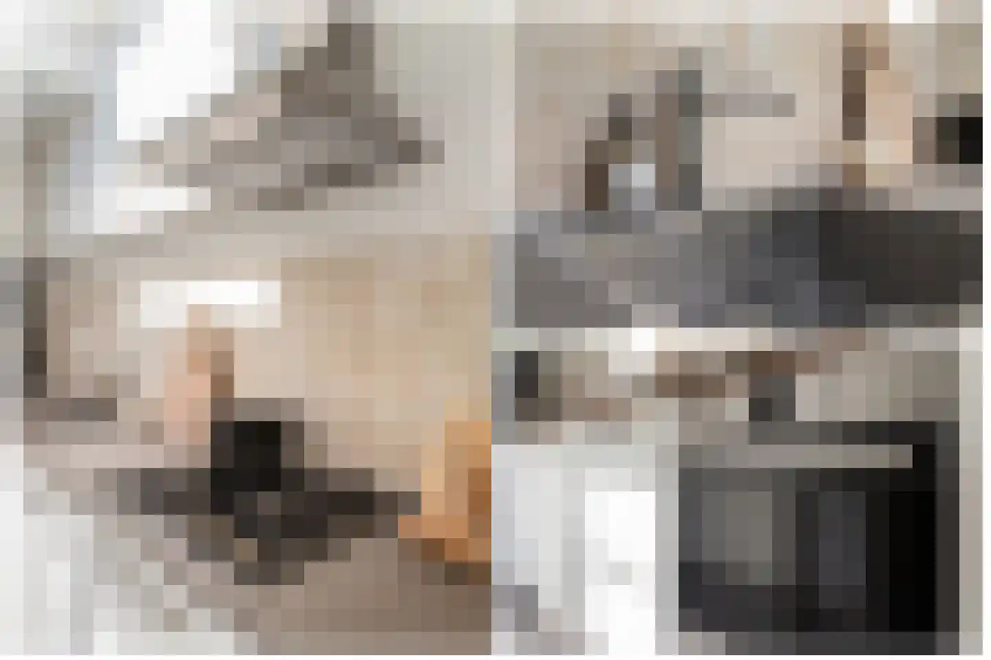 Zonstraat 60 Utrecht thumbnail 19