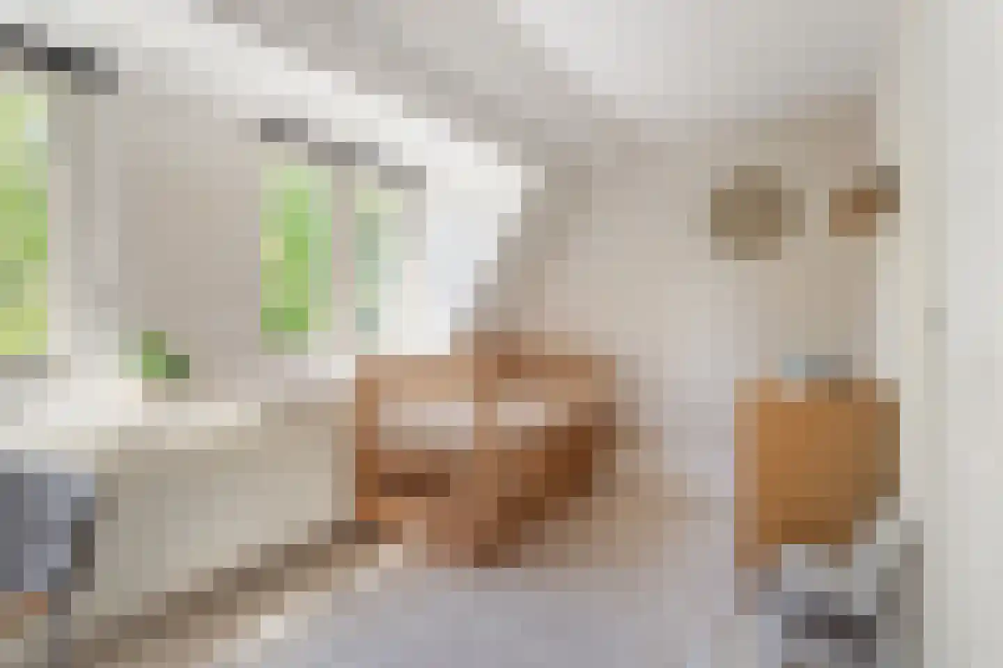 Zonstraat 60 Utrecht thumbnail 30