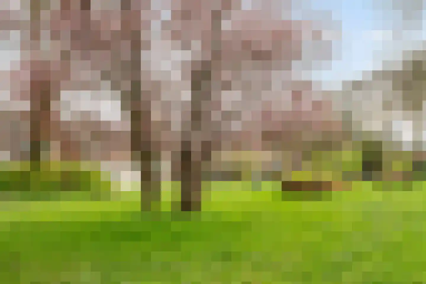 Zonstraat 60 Utrecht thumbnail 34