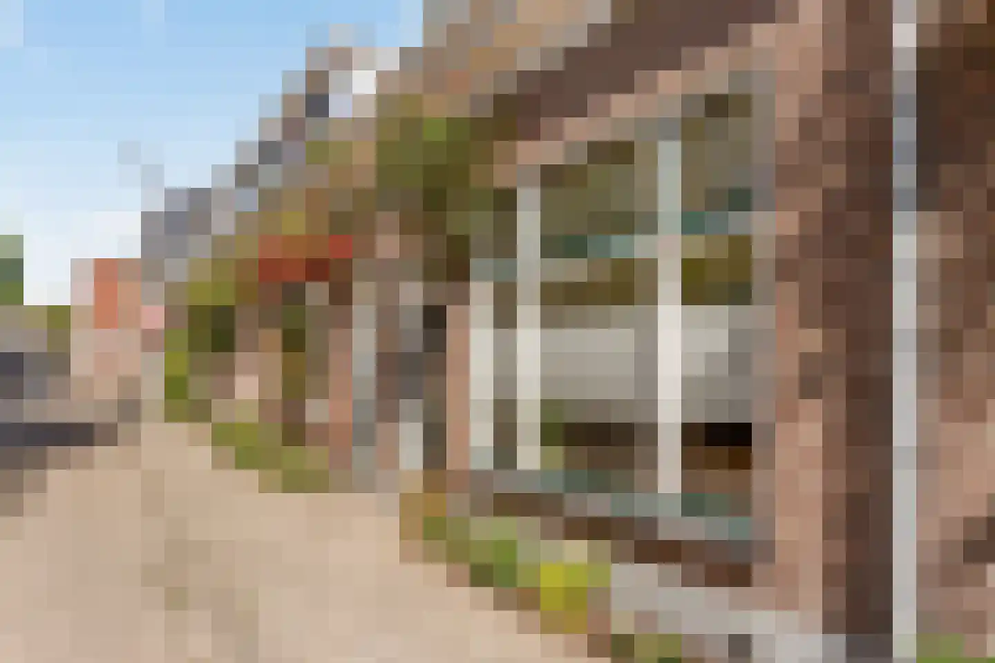 Zonstraat 60 Utrecht thumbnail 4