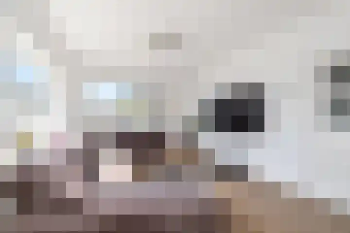 Zonswaert 14 Breukelen thumbnail 12