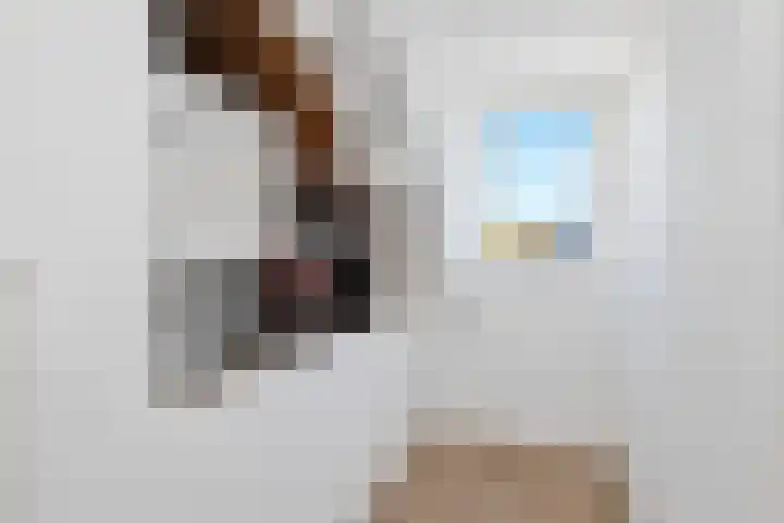 Zonswaert 14 Breukelen thumbnail 40