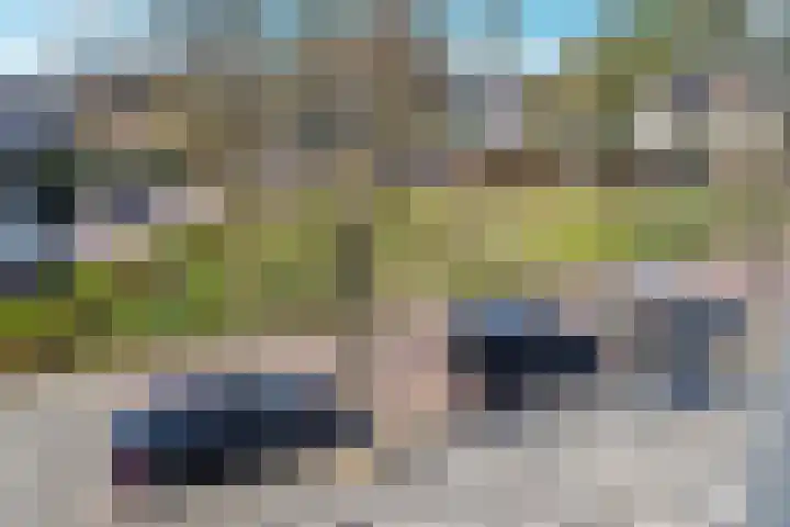Zonswaert 14 Breukelen thumbnail 43