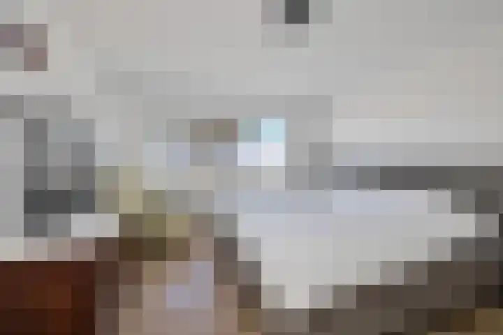 Zonswaert 14 Breukelen thumbnail 50