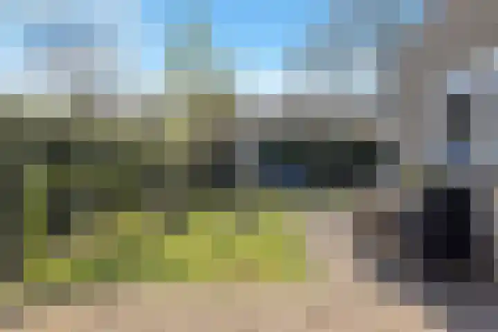Zonswaert 14 Breukelen thumbnail 64