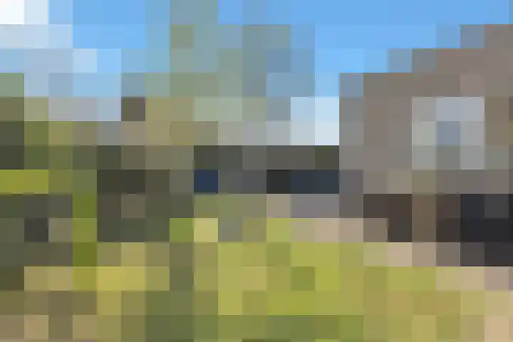 Zonswaert 14 Breukelen thumbnail 66