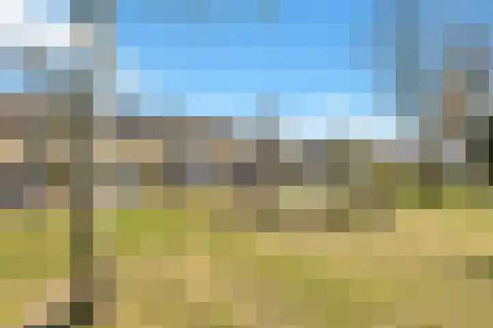 Zonswaert 14 Breukelen thumbnail 71