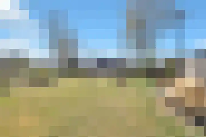 Zonswaert 14 Breukelen thumbnail 72
