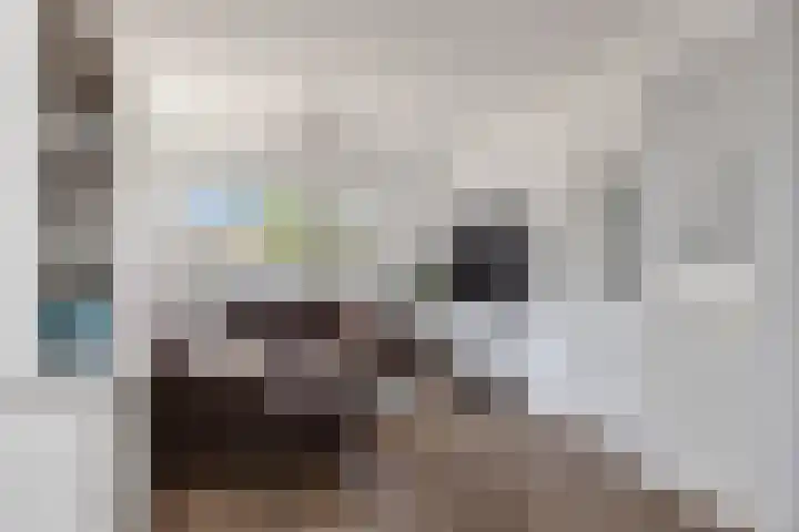 Zonswaert 14 Breukelen thumbnail 9