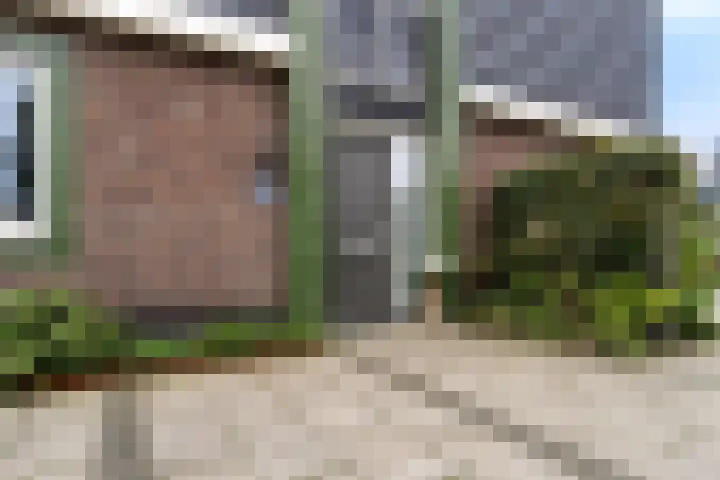 Zonzicht 9 Assendelft thumbnail 11