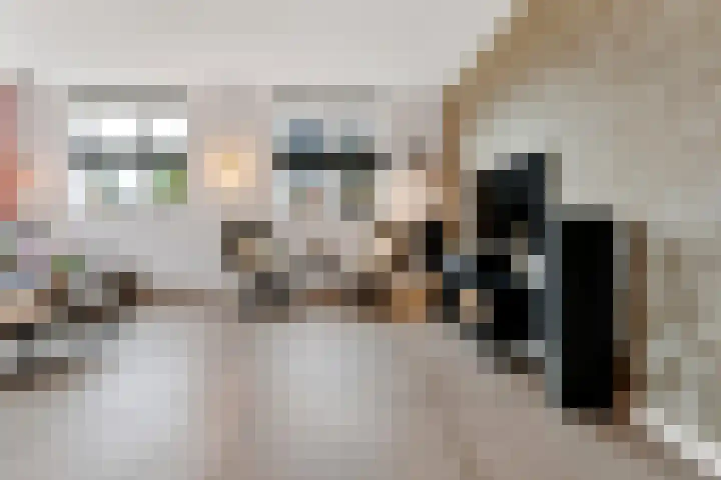 Zonzicht 9 Assendelft thumbnail 13
