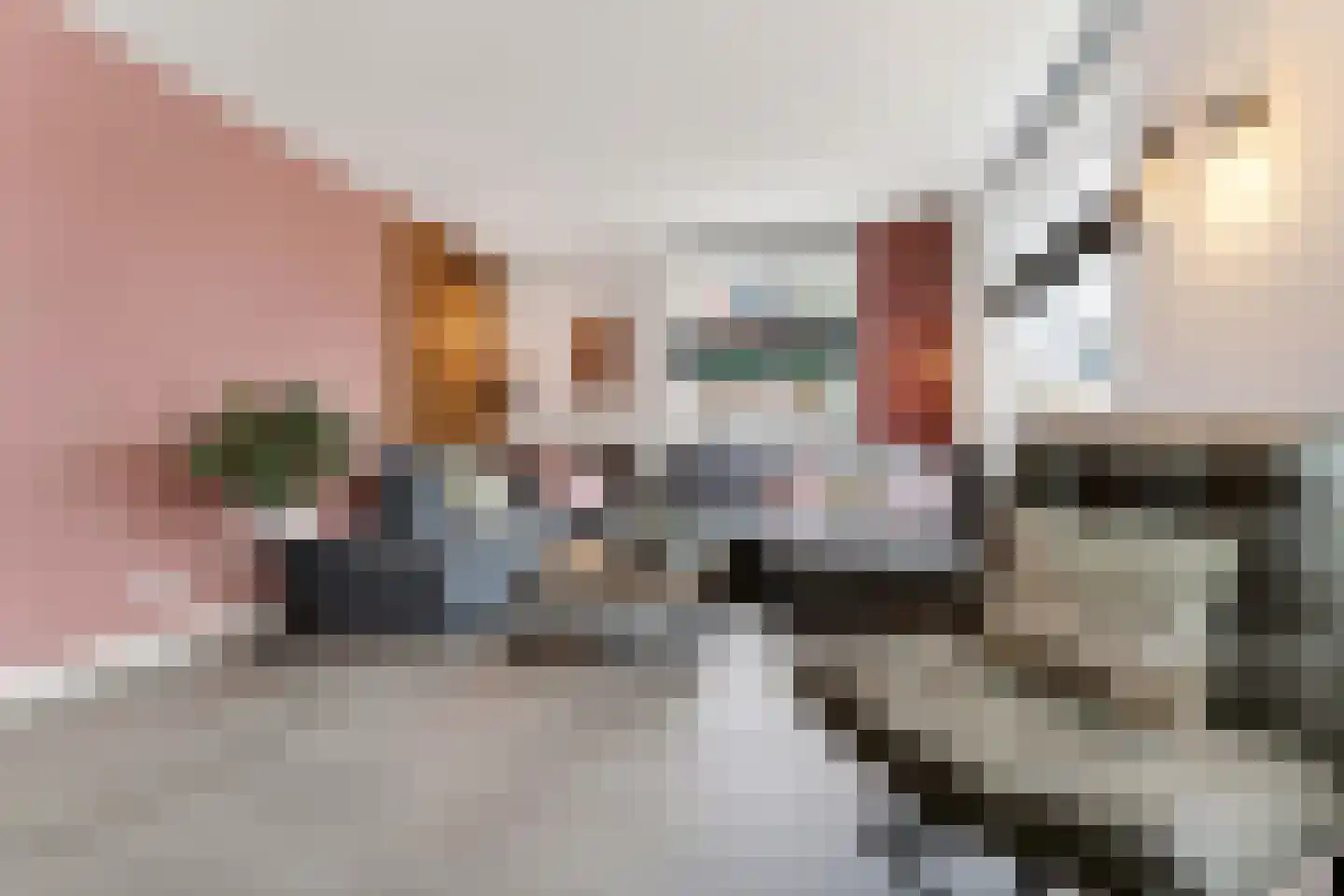 Zonzicht 9 Assendelft thumbnail 14