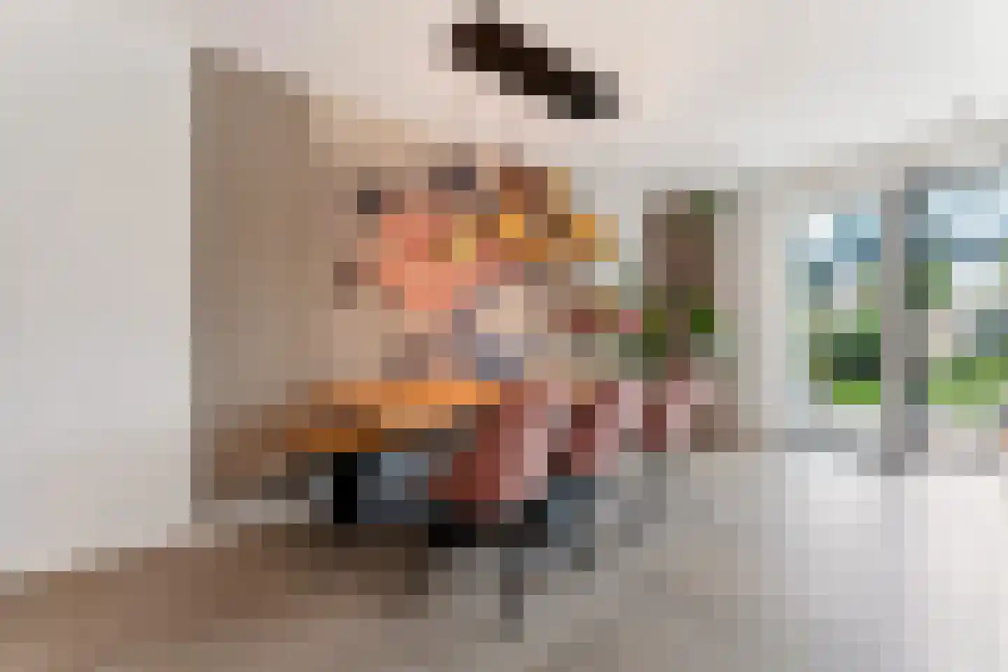 Zonzicht 9 Assendelft thumbnail 16