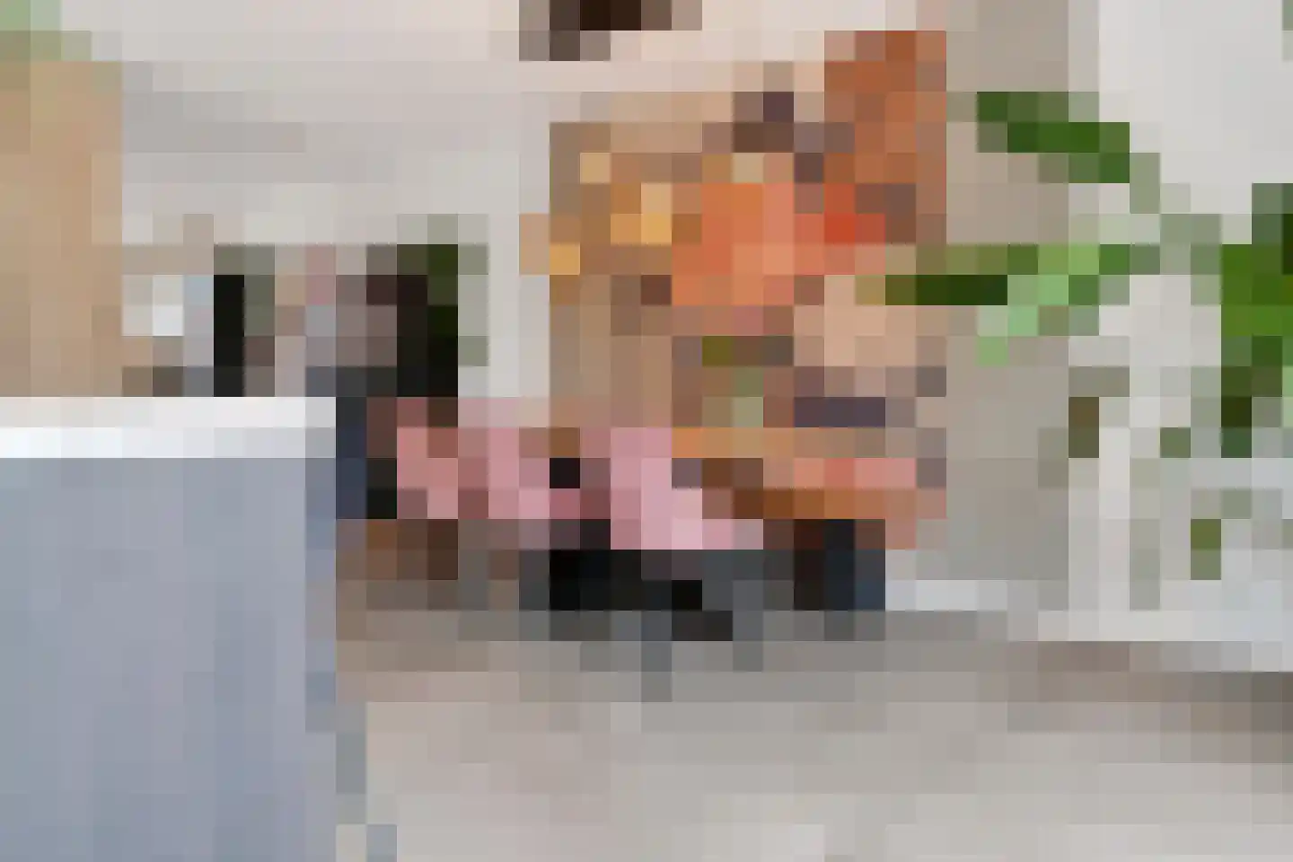 Zonzicht 9 Assendelft thumbnail 19