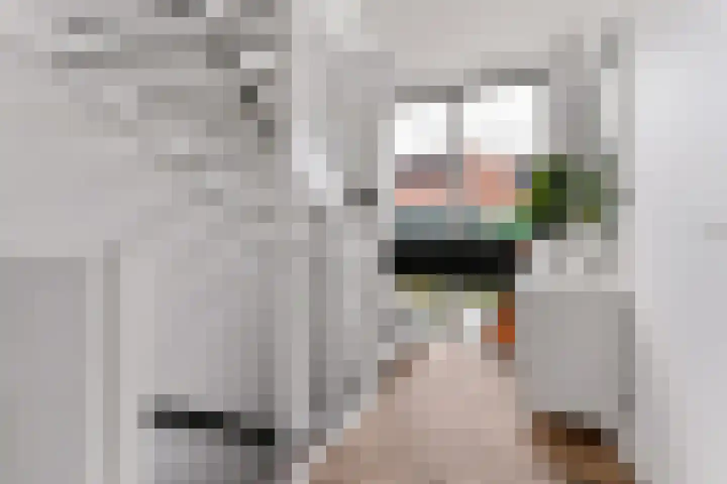 Zonzicht 9 Assendelft thumbnail 22