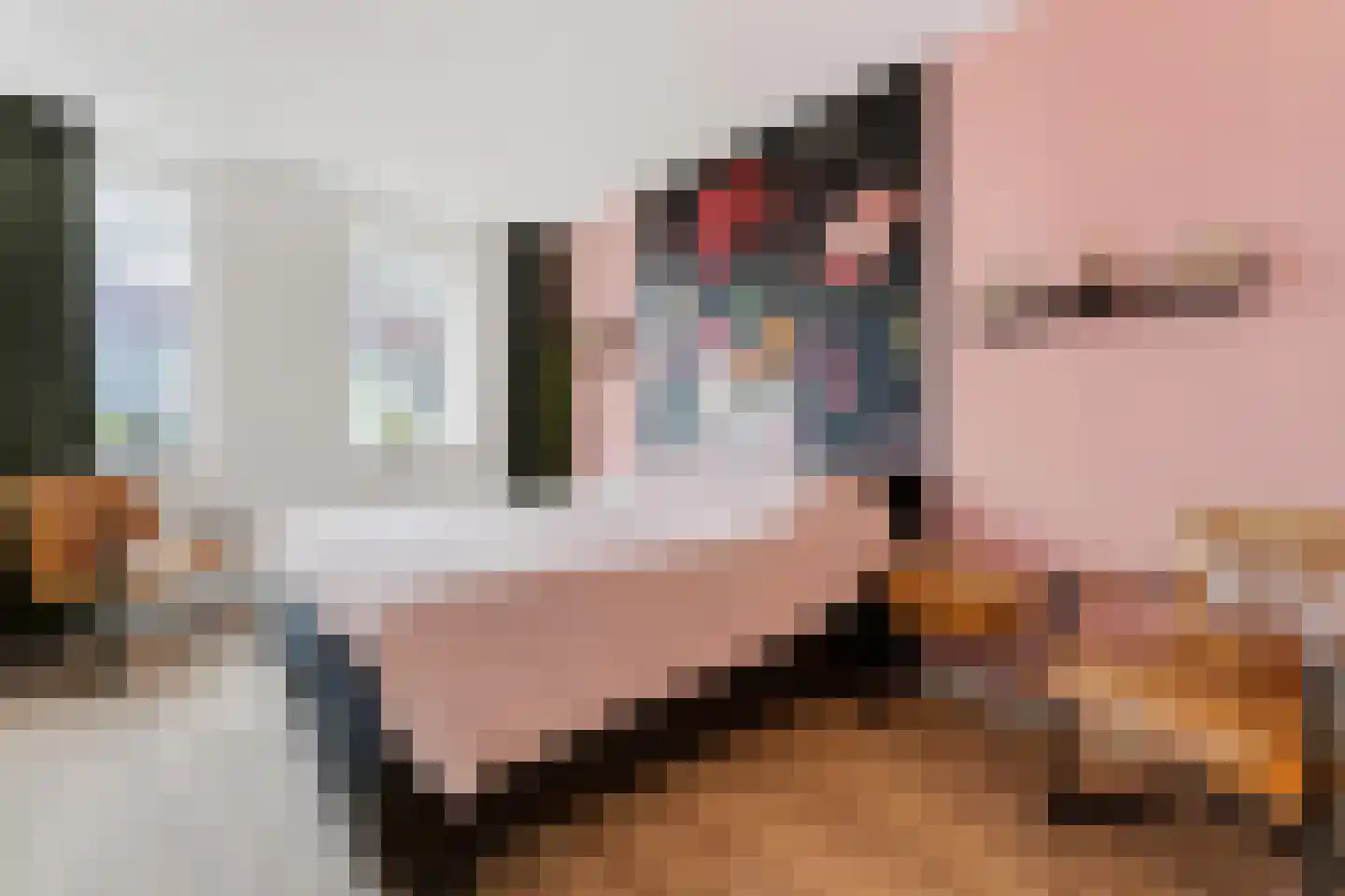 Zonzicht 9 Assendelft thumbnail 23