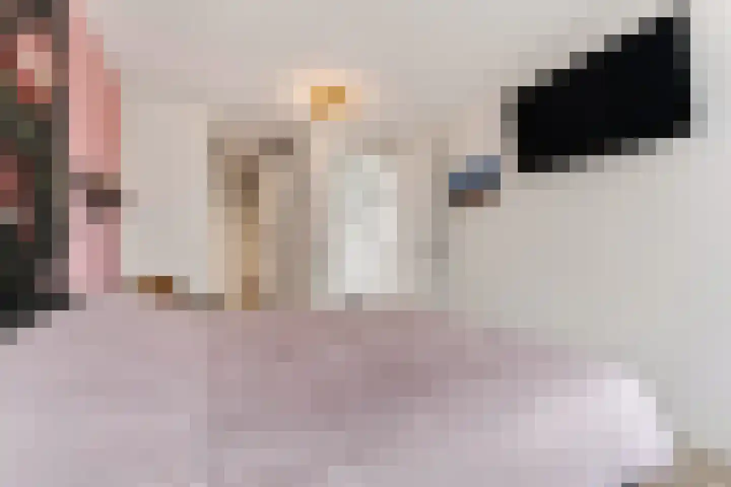 Zonzicht 9 Assendelft thumbnail 24