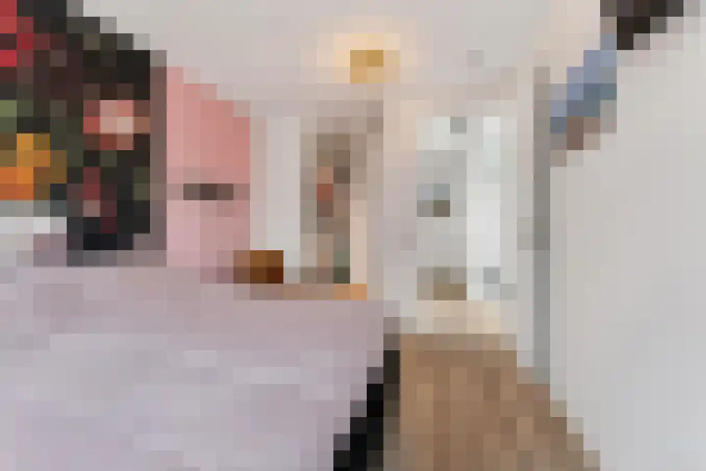 Zonzicht 9 Assendelft thumbnail 25