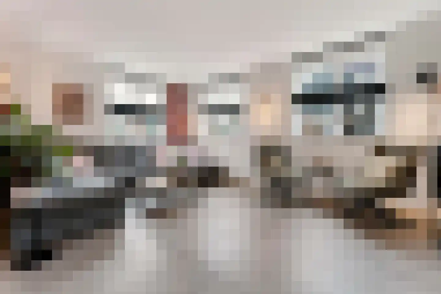 Zonzicht 9 Assendelft foto 3