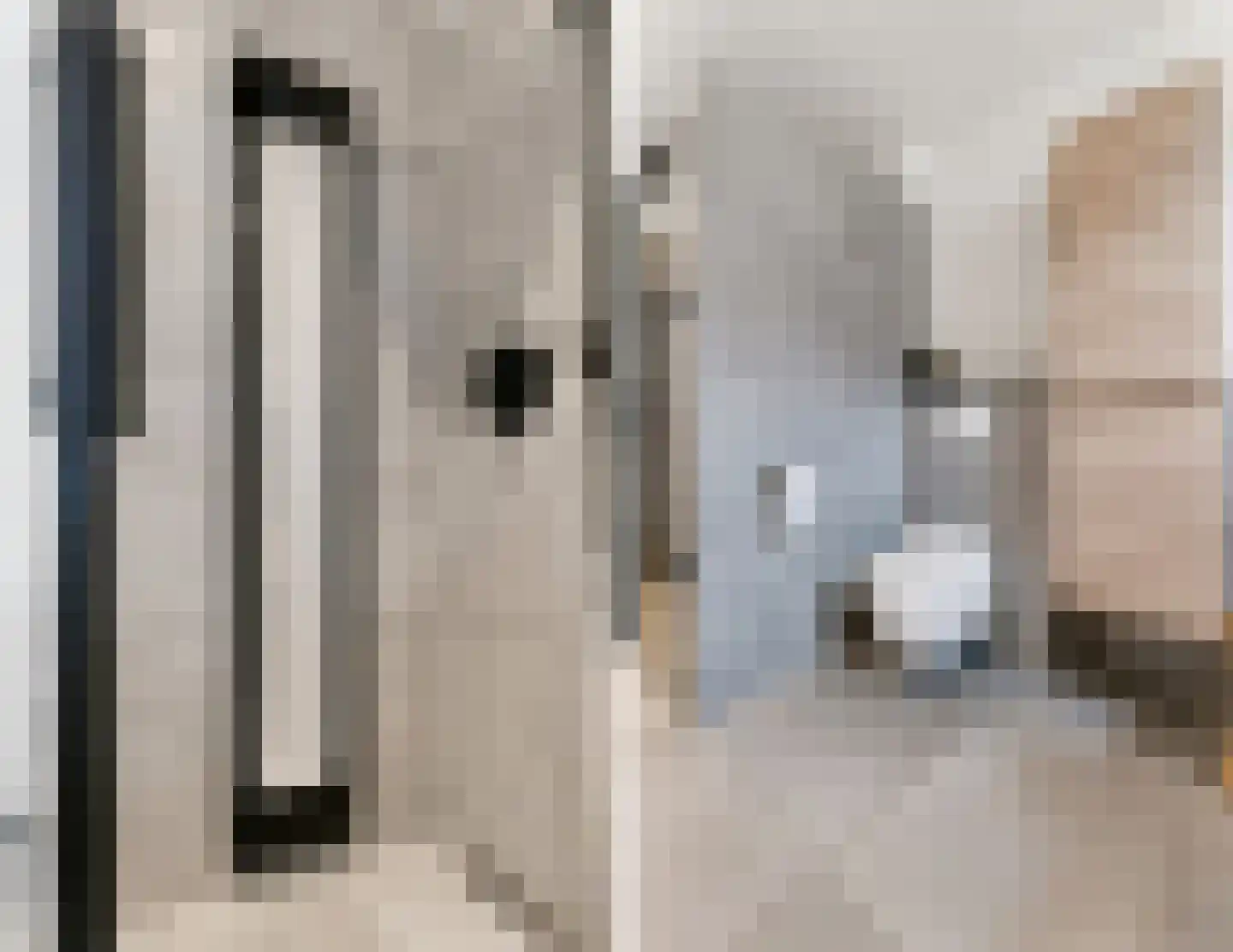 Zonzicht 9 Assendelft thumbnail 35